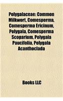 Polygalaceae Polygalaceae: Common Milkwort, Comesperma, Comesperma Ericinum, Polygala, Common Milkwort, Comesperma, Comesperma Ericinum, Polygala, Comesperma Scoparium, Polyga(English)