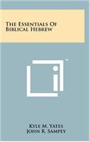 Essentials Of Biblical Hebrew
