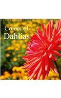 Colors of Dahlias 2018
