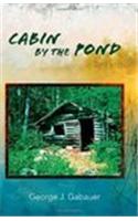 Cabin by the Pond