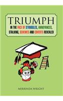 Triumph: In the Face of Struggles, Annoyances, Stalking, Schemes and Coverts Revealed