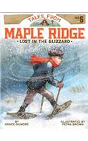 Lost in the Blizzard