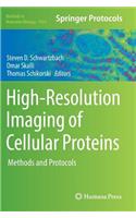 High-Resolution Imaging of Cellular Proteins
