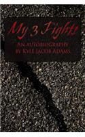 My 3 Fights