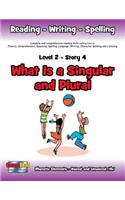 Level 2 Story 4-What is a Singular and Plural?