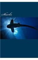 Sharks (Journal / Notebook)