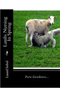 Lambs Nursing In Spring: (Spring Baby Animals Collection, with Covers You Can Frame!)