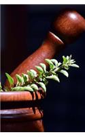 Fresh Marjoram and a Wooden Mortar and Pestle Spice Journal: 150 Page Lined Notebook/Diary