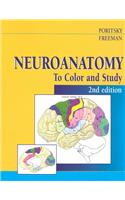 Neuroanatomy to Color and Study