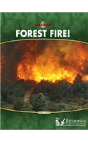 Forest Fire!: (Nature's Fury)