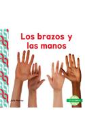 Brazos y Las Manos (Arms & Hands): (Tu Cuerpo (Your Body ))