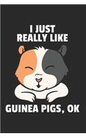 Meerschweinchen Notizbuch