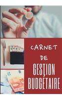 Carnet de Gestion Budgétaire: 100 pages - Familial - Budget - Revenus - Dépenses - Finances - Projets - Objectifs - 1 an - Simple d'utilisation - Organisateur - Planificateur - T