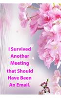 I Survived Another Meeting that Should Have Been an Email.