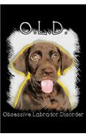 Old obsessive labrador disorder