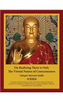 On Realizing There is Only the Virtual Nature of Consciousness