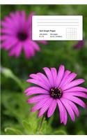 Graph Paper Notebook 6x9in 200 pages