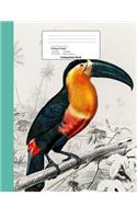 Tropical Bird Toucan Theme College Ruled Composition Book