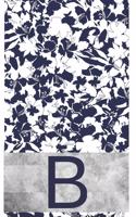 B Initial Notebook