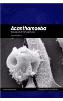 Acanthamoeba