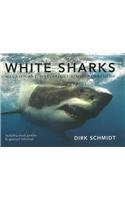 White sharks