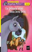 Au galop, Silver! Un poney star dans mon box