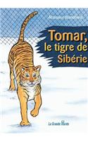 Tomar, le tigre de Sibérie