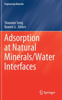 Adsorption at Natural Minerals/Water Interfaces