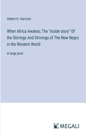 When Africa Awakes; The "inside story" Of the Stirrings And Strivings of The New Negro in the Western World