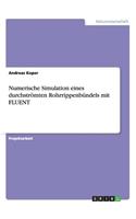 Numerische Simulation eines durchströmten Rohrrippenbündels mit FLUENT