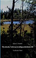 Mystische Schwarzwaldgeschichten III