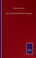 New Practical Hebrew Grammar