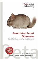 Balochistan Forest Dormouse