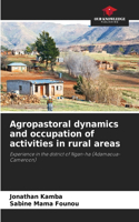 Agropastoral dynamics and occupation of activities in rural areas
