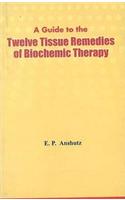 Guide to the Twelve Tissue Remedies of Biochemic Therapy