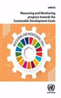 Measuring and Monitoring Progress Towards the Sustainable Development Goals