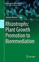 Rhizotrophs: Plant Growth Promotion to Bioremediation