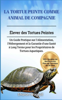 La Tortue Peinte Comme Animal de Compagnie