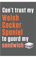 Can't trust my Welsh Cocker Spaniel to guard my sandwich: For Welsh Cocker Spaniel Dog Breed Fans