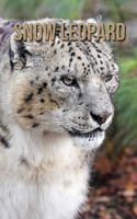 Snow Leopard