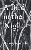 Bird in the Night