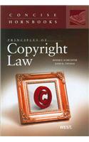 Principles of Copyright Law