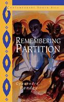 Remembering Partition: Violence, Nationalism and History in India(Series Number 7 Contemporary South Asia)