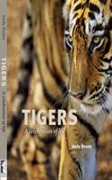 Tigers