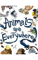 Animals Are Everywhere
