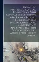 History of Northumberland Co., Pennsylvania. With Illustrations Descriptive of Its Scenery, Palatial Residences, Public Buildings, Fine Blocks, and Important Manufactories. From Original Sketches by Artists of the Highest Ability.