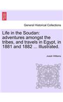 Life in the Soudan: Adventures Amongst the Tribes, and Travels in Egypt, in 1881 and 1882 ... Illustrated.(English)