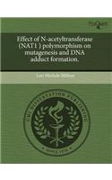Effect of N-Acetyltransferase (Nat1 ) Polymorphism on Mutagenesis and DNA Adduct Formation