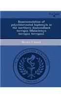 Bioaccumulation of Polychlorinated Biphenyls in the Northern Diamondback Terrapin (Malaclemys Terrapin Terrapin)