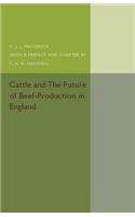 Cattle and the Future of Beef-Production in England